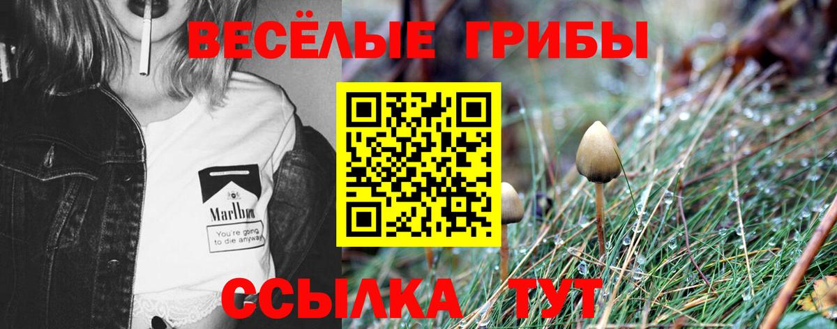 Галлюциногенные грибы MAGIC MUSHROOMS Луховицы